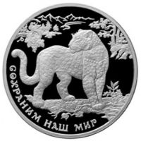 Аверс монеты «Переднеазиатский Леопард»